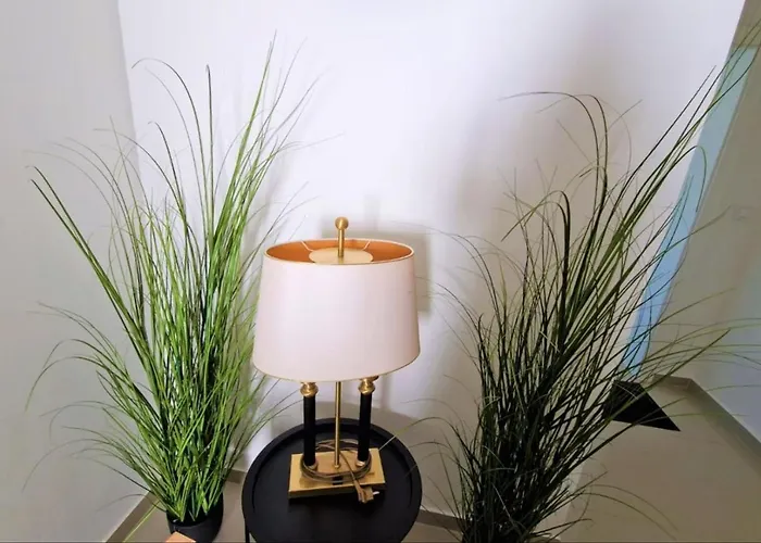 Amra In For Max 27 Persons 3*