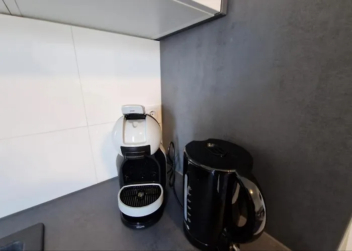 Amra In For Max 27 Persons Porec