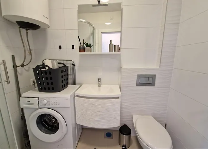 Amra In For Max 27 Persons Hotel Porec